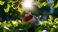 Peaceful dove resting among green leaves in morning sunlight, soft bokeh background creates serene natural atmosphere. Gentle sunburst adds warmth to wildlife scene.