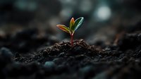 Young green sprout growing from fertile soil with water drops in soft morning light, symbolizing new beginnings, growth, and environmental sustainability.