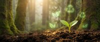 Young green seedling sprouting from rich soil in sunlit forest with glowing light rays and floating leaves creating magical growth and renewal atmosphere.