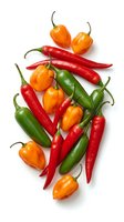 Colorful assortment of fresh hot chili peppers in red, orange and green varieties isolated on white background for culinary and cooking projects.