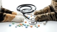 Tabby cat paws with stethoscope and colorful pills on white background. Veterinary medicine, pet healthcare and treatment concept.