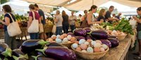 Farmers market with fresh organic vegetables including eggplants and onions displayed on wooden table with shoppers browsing local produce stands.