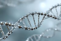 Metallic DNA double helix structure with silver and bronze spheres on soft blue background showing genetic research and biotechnology advancement.