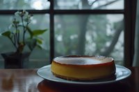 Homemade caramel flan dessert on white plate by window with natural light and green plants in background for cafe menu or recipe blog content.