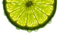 Lime slice with water droplets isolated on white background, suitable for beverage, food, and culinary design projects.
