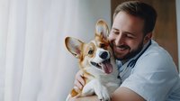 Caring veterinarian in white coat holding and bonding with happy Welsh Corgi puppy during medical checkup, showing professional pet healthcare and animal care.