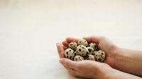 Hands holding fresh quail eggs with speckled shells, isolated on white background for food and nutrition design projects.