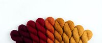 Colorful yarn skeins arranged in gradient from burgundy to golden yellow on white background for crafting and knitting projects.