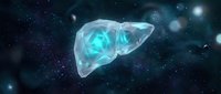 Transparent human liver organ with glowing blue energy floating in cosmic space with stars and nebula for medical education and healthcare concepts.