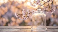 Glass cloche dome with delicate cherry blossom branches on rustic wooden surface against warm bokeh background for spring decor and botanical displays.