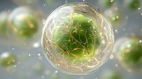 Green cellular structure with golden network connections floating in luminous sphere for biotechnology and medical research applications.
