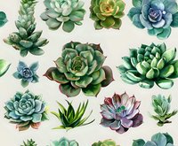 Watercolor succulent plants collection in green and blue tones on white background, isolated botanical elements for decorative design and patterns.