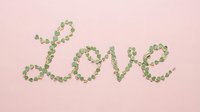 Green leaves arranged to spell love word on soft pink background for romantic nature concept and eco-friendly Valentine greeting cards.