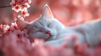 White cat sleeping peacefully among pink cherry blossoms, creating serene spring atmosphere with soft bokeh background and gentle natural lighting.