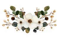 Elegant white magnolia floral arrangement with eucalyptus leaves and delicate berries on isolated background, suitable for wedding stationery and botanical designs.