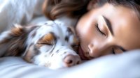 Young Caucasian woman sleeping peacefully with Australian shepherd dog on bed, sharing tender moment of rest and bonding with pet companion in soft morning light.