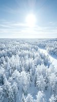 Aerial view of snow-covered coniferous forest with frozen river winding through winter landscape under bright sunlight. Suitable for travel, nature, and seasonal marketing materials.