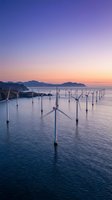 Offshore wind farm turbines in calm ocean waters during sunset with purple and orange sky gradient creating peaceful renewable energy seascape.