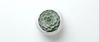 Green succulent plant in white ceramic pot on clean white background for home decor and gardening projects.