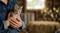 Farmer in denim shirt holding tabby kitten on rural farm with barn background, depicting animal care and countryside lifestyle.