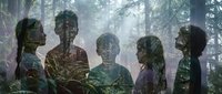 Silhouettes of diverse people overlaid with lush forest trees creating double exposure effect. Conceptual art representing unity with nature and environmental awareness.