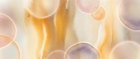 Abstract watercolor background with flowing golden yellow brushstrokes and translucent circular bubbles in soft pastel tones for modern design projects.