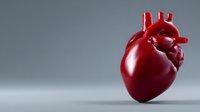 Anatomically accurate red heart model on gray background, showcasing cardiovascular organ details for medical education and healthcare visualization.