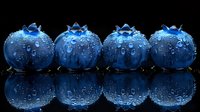Fresh ripe blueberries with water drops in row on black reflective surface. Macro shot showing detailed texture and natural moisture on dark blue berries.