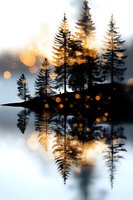 Silhouettes of pine trees reflected in calm lake water at sunset with golden bokeh lights creating magical forest atmosphere. Perfect for nature wall art.