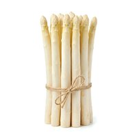 Fresh white asparagus spears bundled with twine on white background, isolated and ready for culinary, food styling, recipe, and restaurant menu design use.