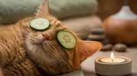 Orange tabby cat relaxing with cucumber slices on eyes during spa treatment with candle and towels in wellness setting for pet care and relaxation.