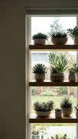 Succulent plants displayed on wooden window shelves creating natural home decor with green houseplants in ceramic pots for interior design inspiration.