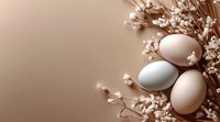 Natural eggs with delicate white spring flowers on soft beige background. Minimal Easter composition with copy space for seasonal greeting cards.
