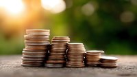 Stacks of coins arranged in descending order on wooden surface with warm sunlight and blurred green nature background representing financial growth.