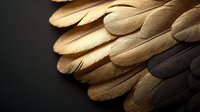 Golden and dark brown feathers arranged in overlapping pattern creating dramatic light and shadow effect on black background, macro photography.