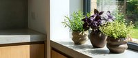 Fresh herbs growing in terracotta pots on modern kitchen windowsill with natural sunlight streaming through window creating peaceful indoor gardening atmosphere.