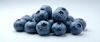 Fresh blueberries isolated on white background, ready for food and beverage design, packaging, and culinary content use.
