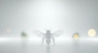 Bee line drawing illustration on white background with blurred bokeh lights, suitable for educational materials, logos, and design projects.