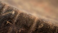 Brown leather texture with natural grain pattern and warm lighting showcasing craftsmanship details for luxury goods and fashion accessories design projects.