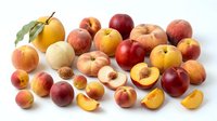 Assorted fresh stone fruits including peaches, nectarines, and apricots with leaves, some cut in half showing pit and flesh, isolated on white background for food and culinary design use.