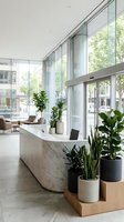Modern office lobby with marble reception desk, floor-to-ceiling windows, and green plants creating bright professional workspace for business meetings.