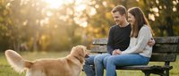 Couple sitting on wooden bench in park with golden retriever dog during sunset, enjoying outdoor leisure time together in nature.