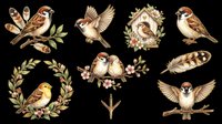 Vintage bird illustrations with botanical elements, isolated on transparent background. Ready for t-shirt design, clipart, stickers, sublimation, print-on-demand products and digital crafts.