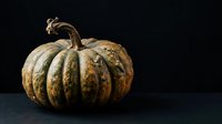 Aged pumpkin with weathered golden-brown skin and curved stem isolated on dark background, suitable for autumn harvest and seasonal design projects.