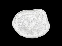 Transparent gel or clear liquid blob with bubbles isolated on transparent background, ready for design use on t-shirts, stickers, sublimation products, and print-on-demand designs.