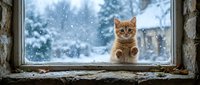 Ginger tabby cat sitting on snowy windowsill looking outside at winter landscape with falling snow and frozen trees in background.