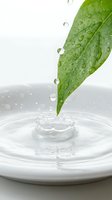 Fresh green leaf with water droplets creating splash in white bowl on clean background for natural wellness and spa concepts.
