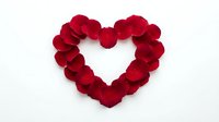 Red rose petals arranged in heart shape on white background for Valentine's Day romance love celebration wedding anniversary greeting card design.