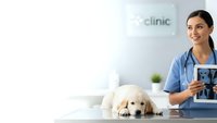 Young female veterinarian in blue scrubs smiling while examining golden retriever puppy at modern animal clinic with tablet computer for pet healthcare.