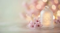 Glass cloche bell jar with delicate pink cherry blossoms and warm bokeh lights creating romantic spring atmosphere for wedding decor and floral arrangements.
